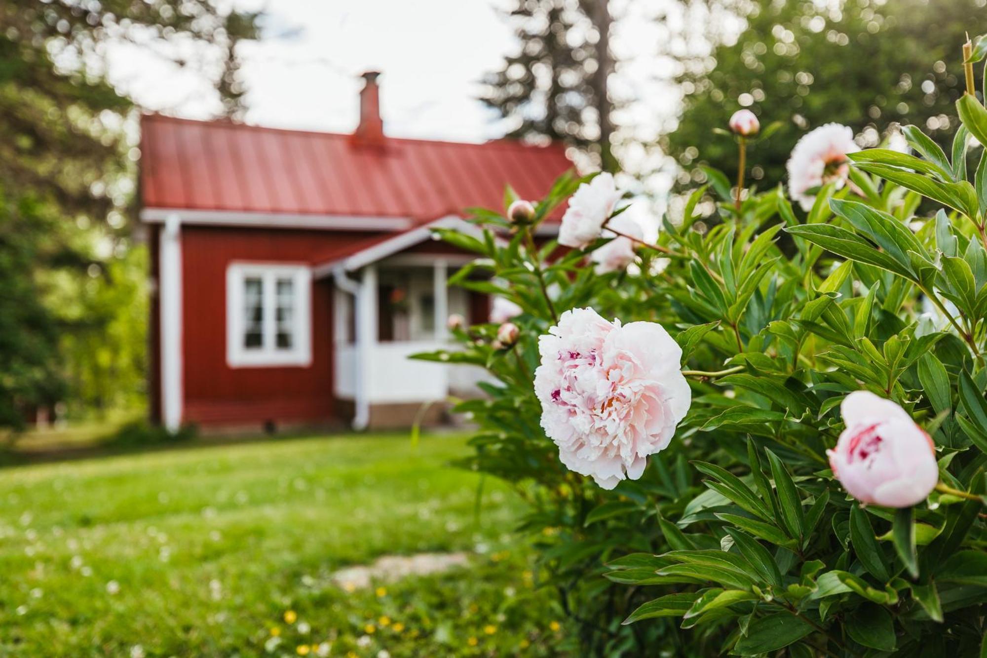 Valkeisen Loma Farm stay Ahtari